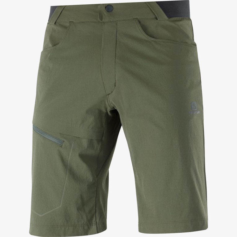 Bermudas Salomon Wayfarer Hombre Verde Oliva | MX BULF630